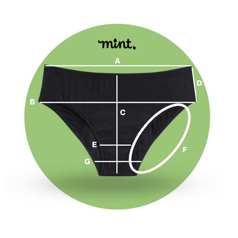 High Waist Period Undies